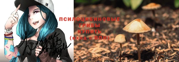 бошки Зеленокумск