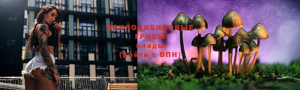 скорость Инта