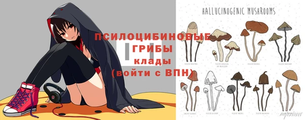 скорость Инта