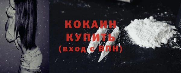 винт Инсар