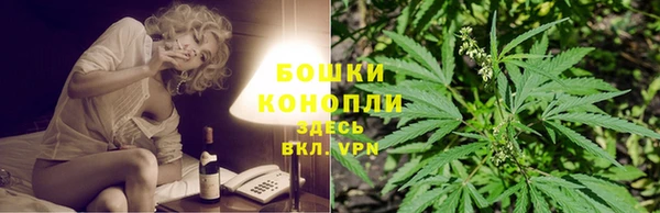 винт Инсар